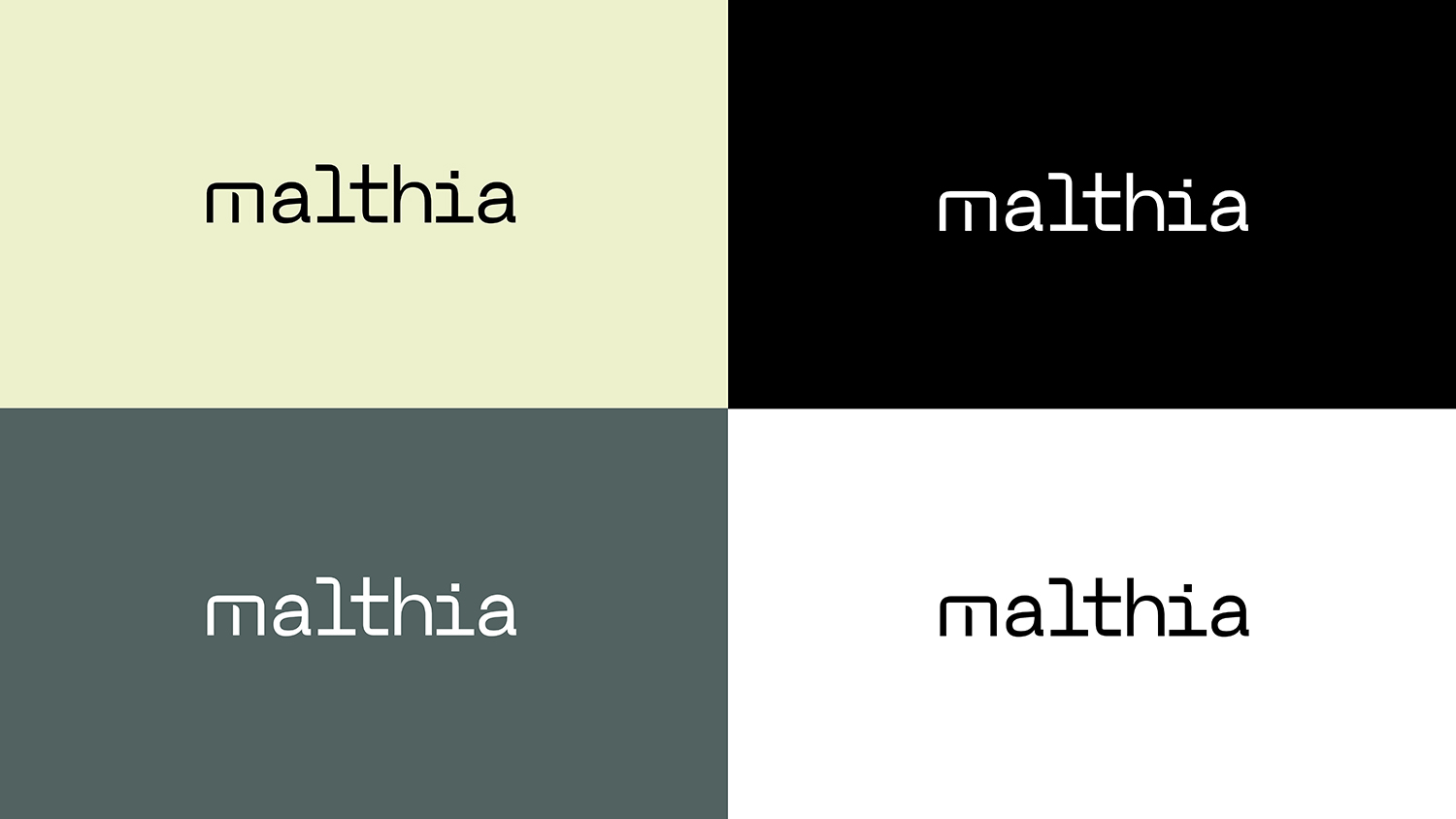 Malthia: diseño de identidad y desarrollo de aplicaciones — imagen 13