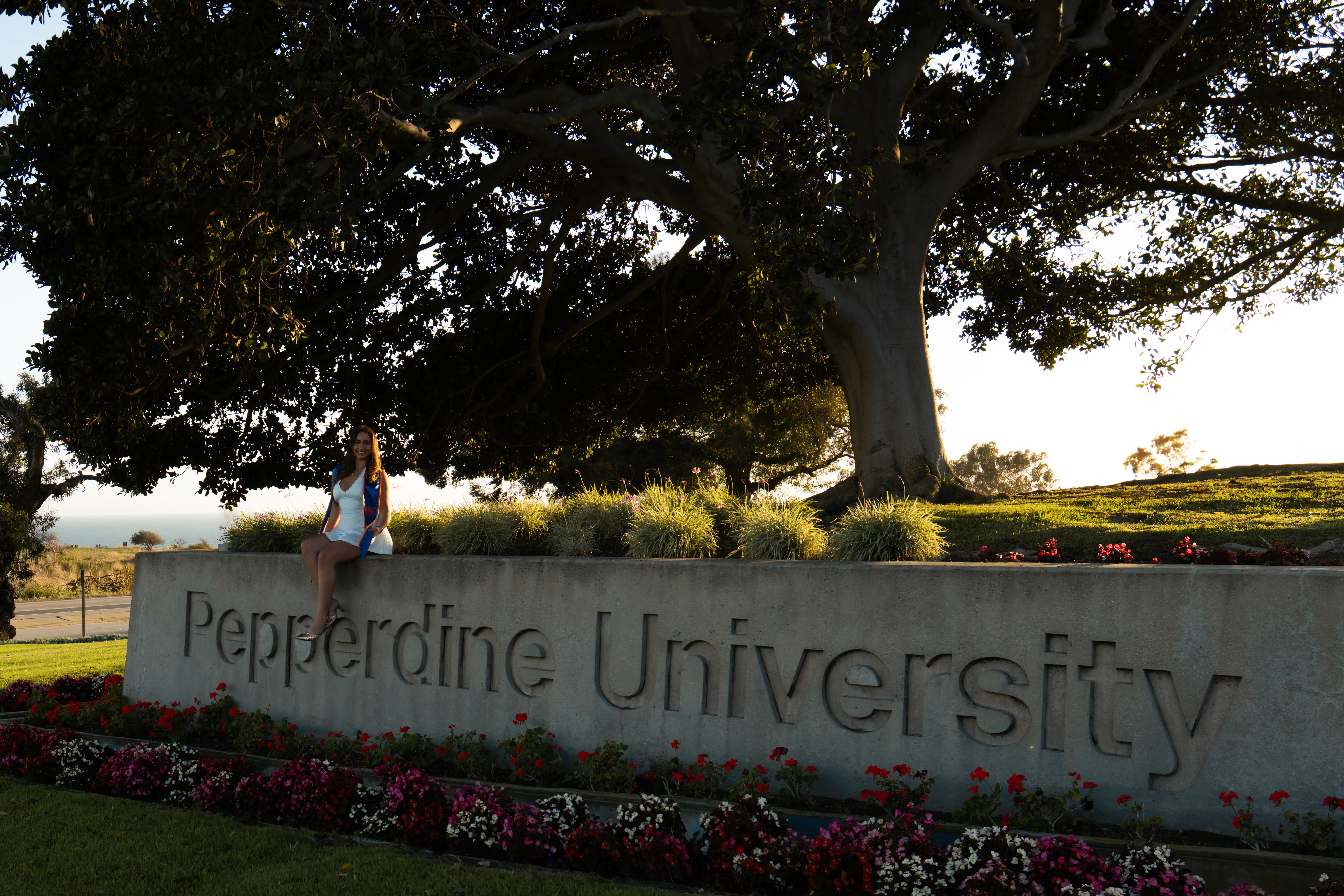 Smiling woman in white dress sitting on Pepperdine University sign next to flowers under a large tree.
