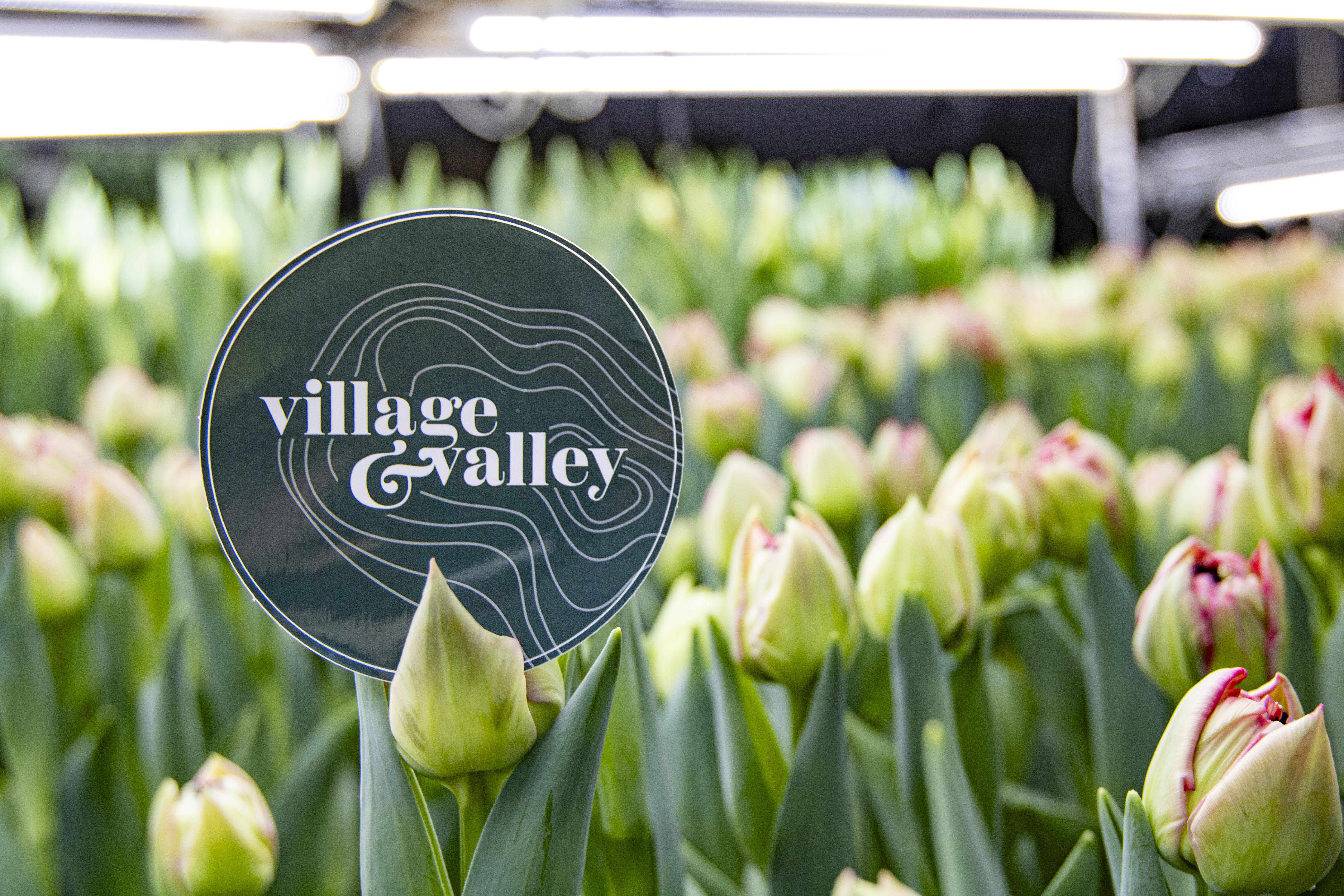 image of happy gym members