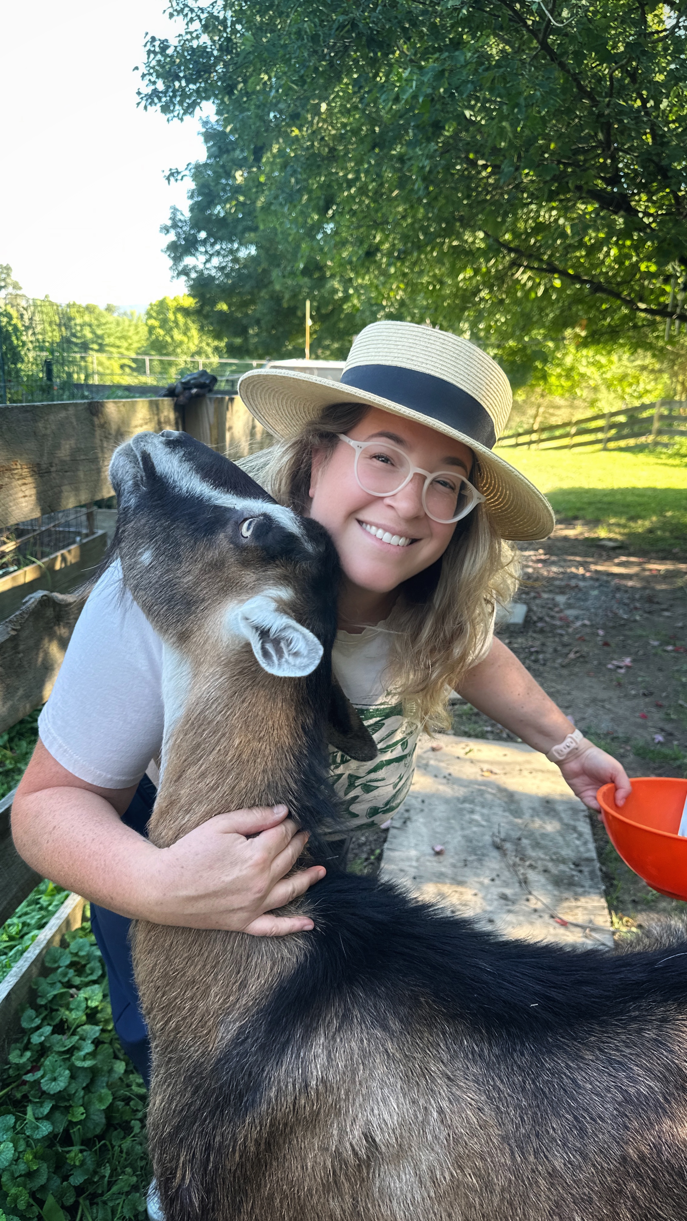 image of consulting session in progress