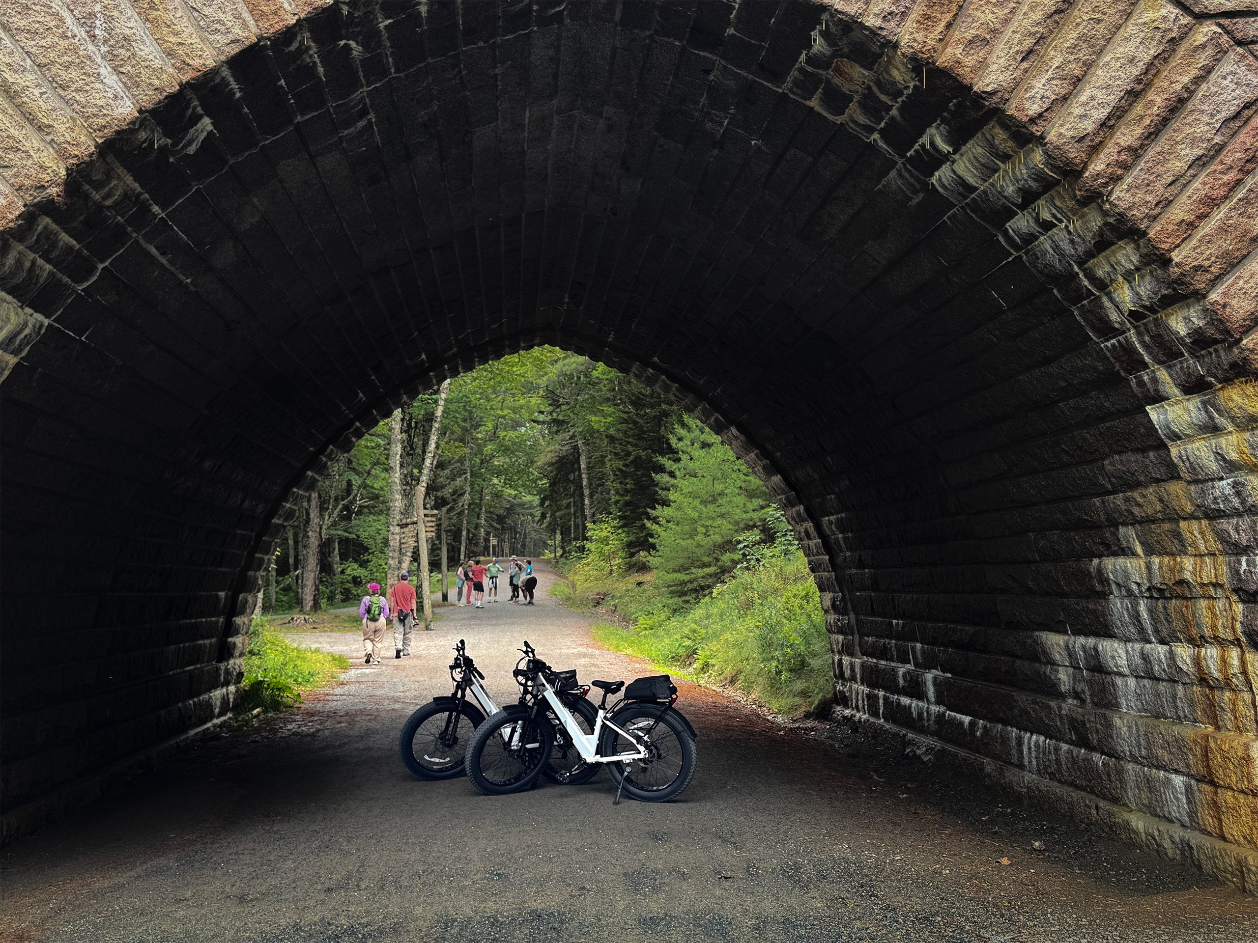 Two bicycles parked under a stone arch bridge on a forest path with people walking in the background.