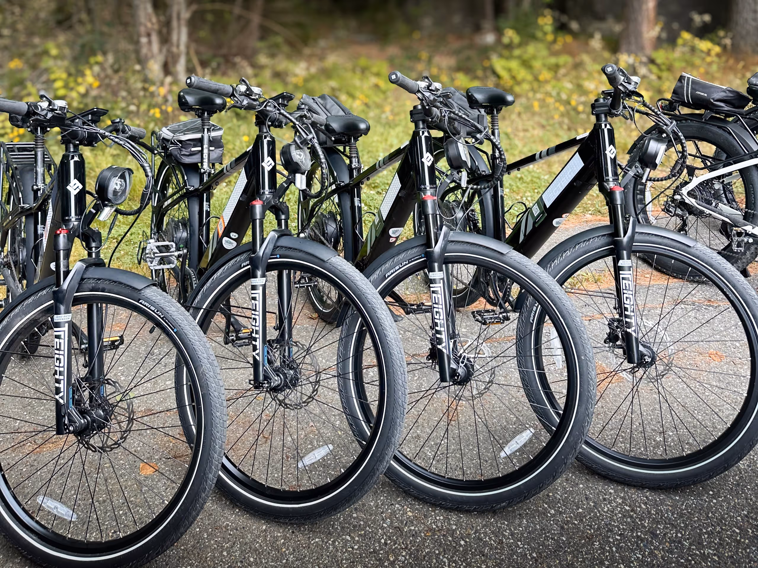 Row of black electric bicycles parked on a paved path with a grassy background.
