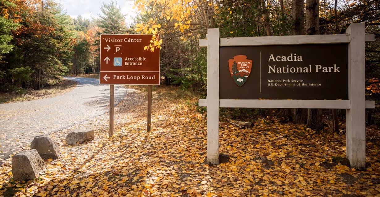 Entrance signs for Acadia National Park and directions to Visitor Center and Park Loop Road surrounded by autumn trees and fallen leaves.