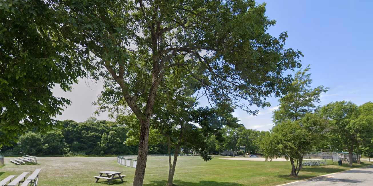 A sunny park with green grass, trees, picnic tables, bleachers, and a baseball field in the background.