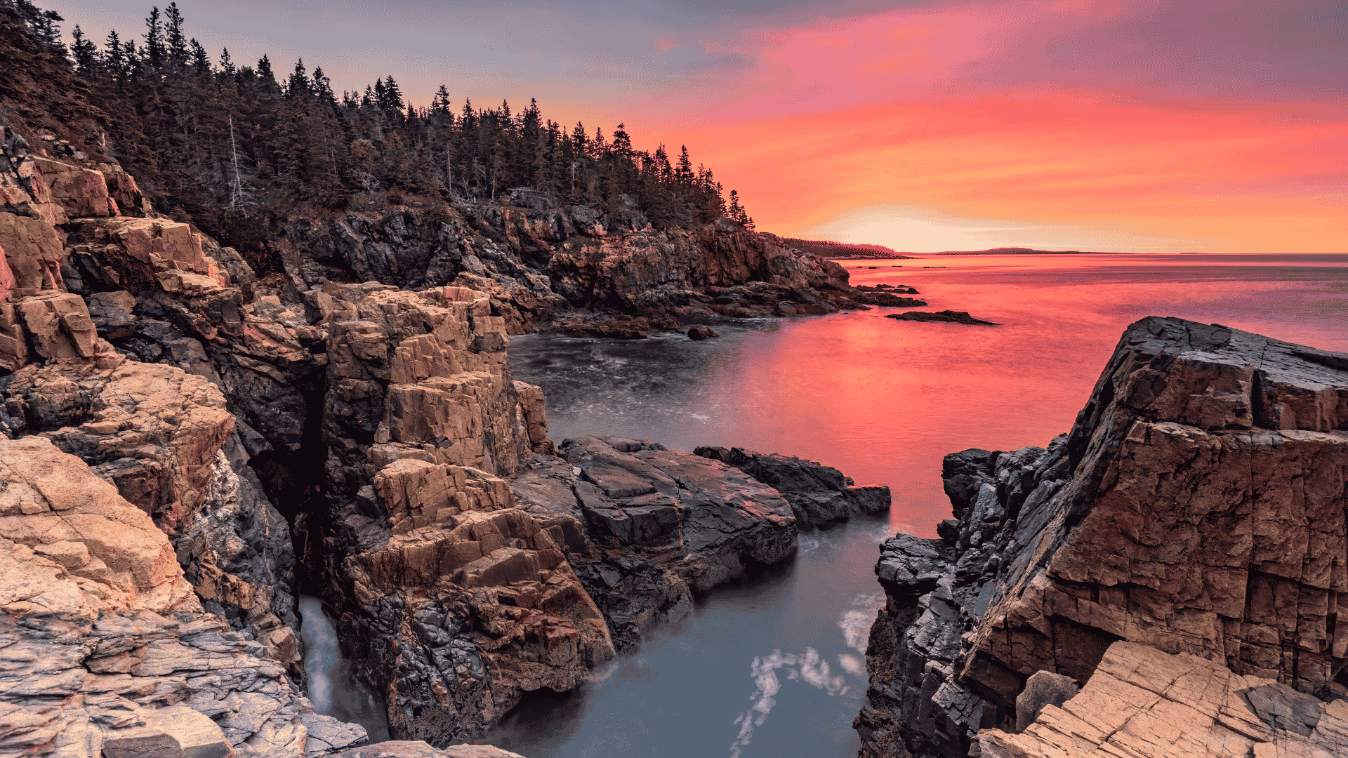 Rocky coastline with pine trees at sunset reflecting pink and orange hues over calm water.