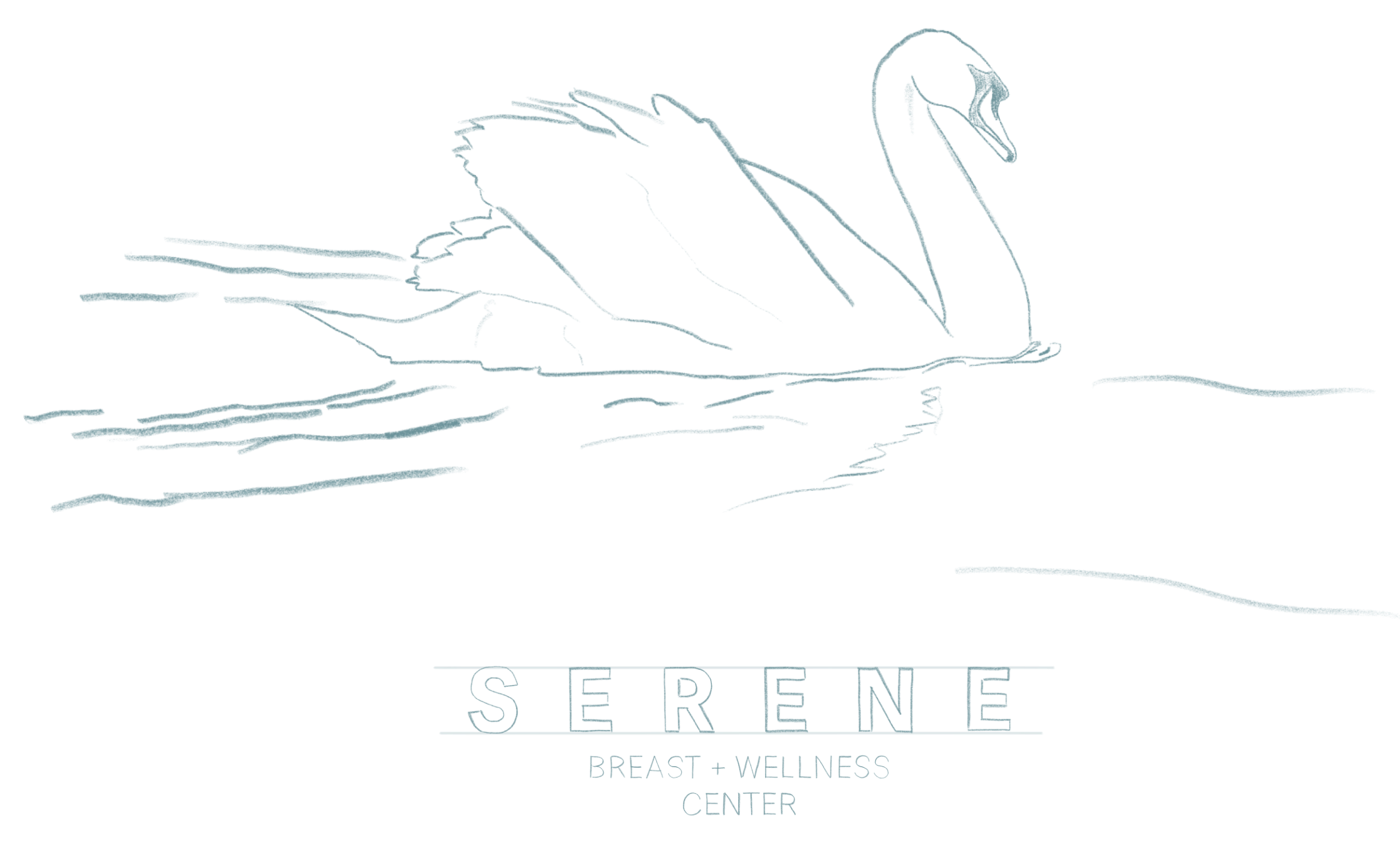 Illustration of a swan