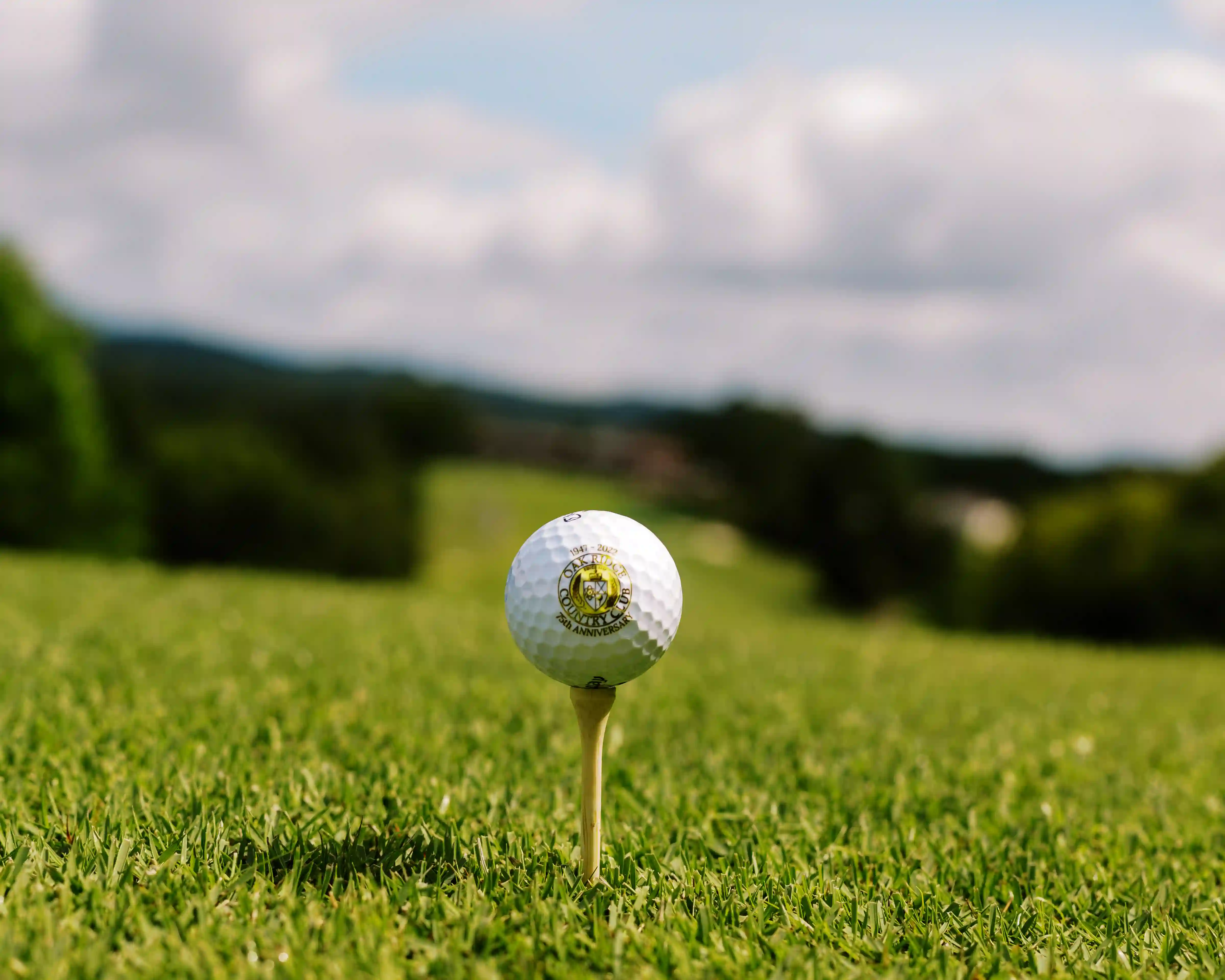 White golf ball on a wooden tee on green grass with blurred trees and sky in the background.