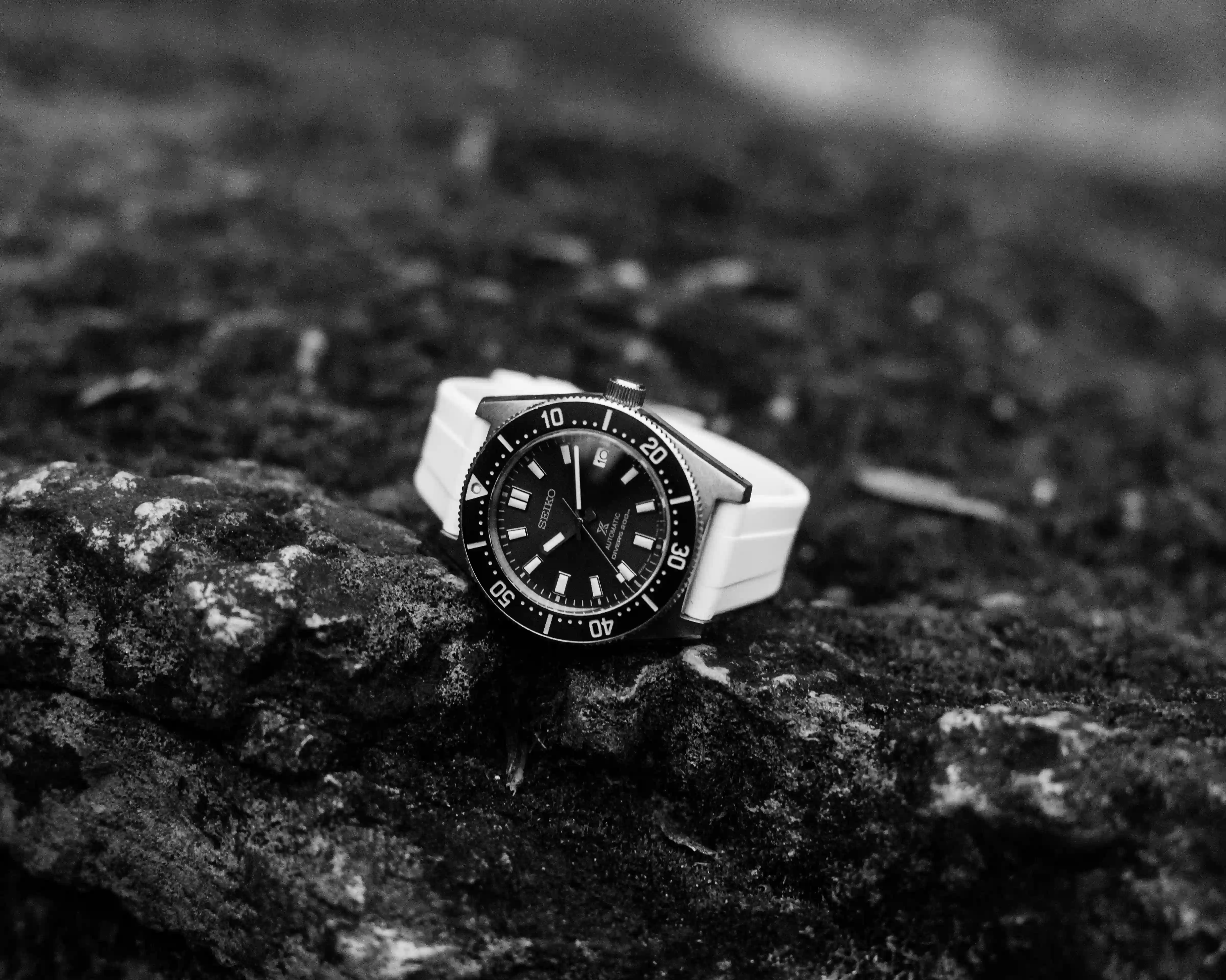 Seiko dive watch with black dial and white strap resting on rough textured rock surface in black and white.