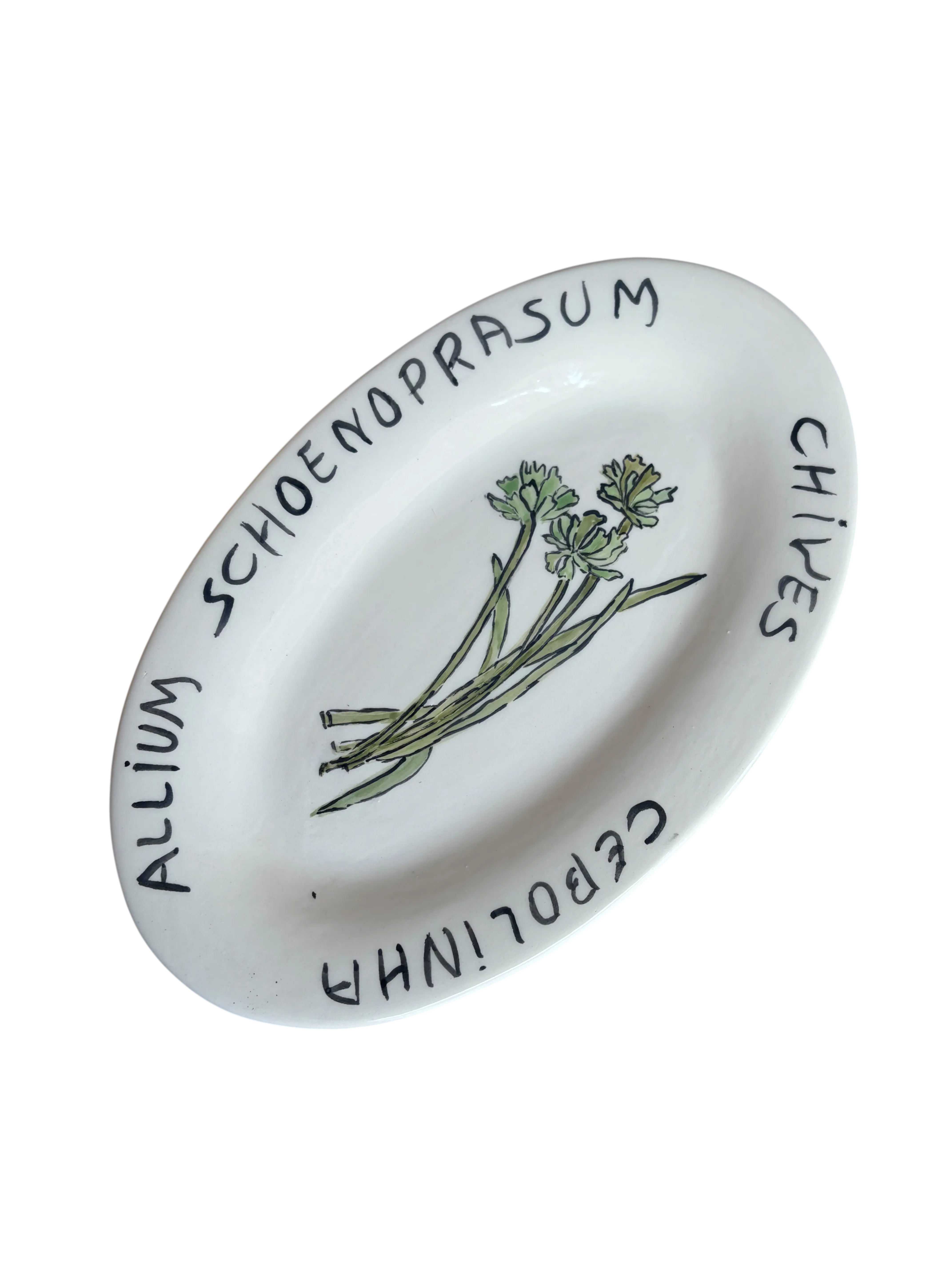 Prato Oval Botânico