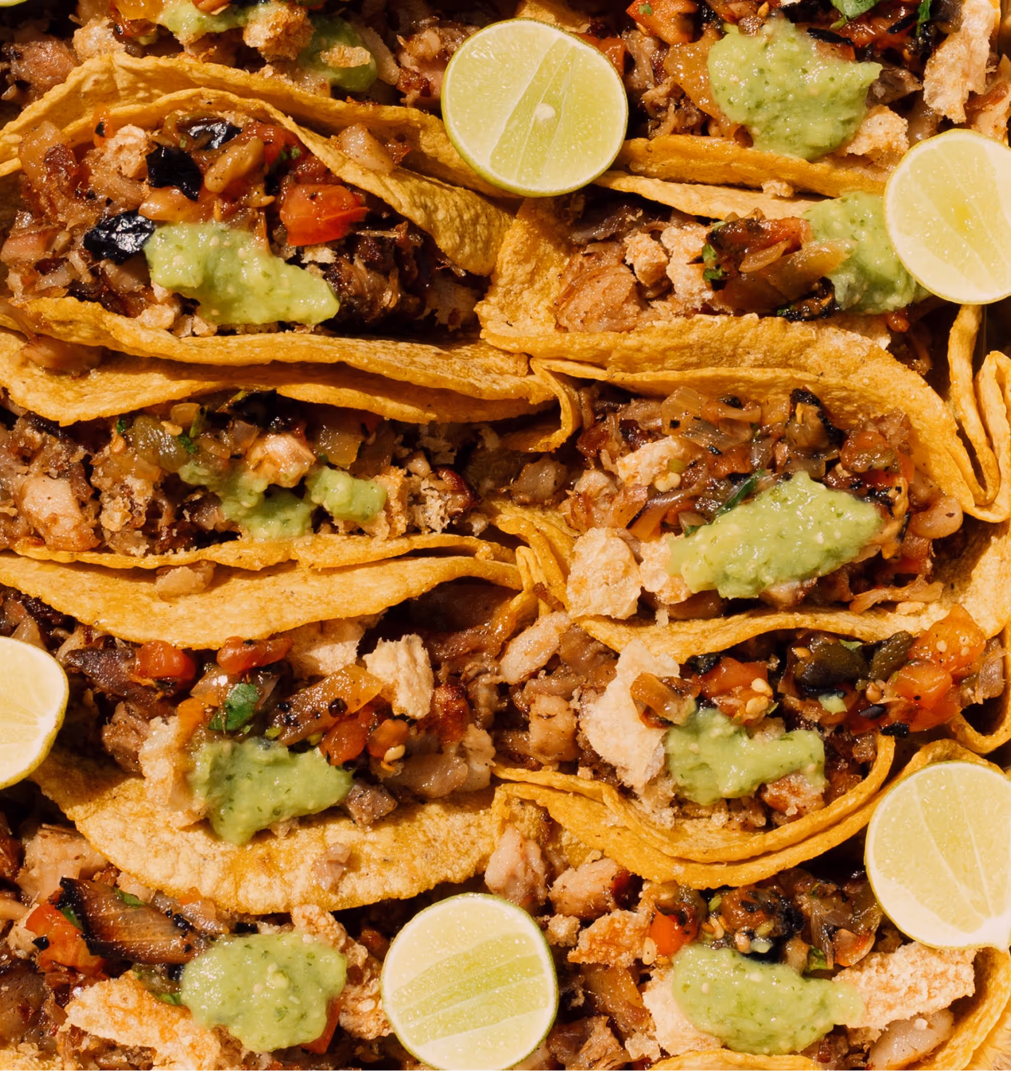 Close up of multiple The Pork Carnitas Tacos