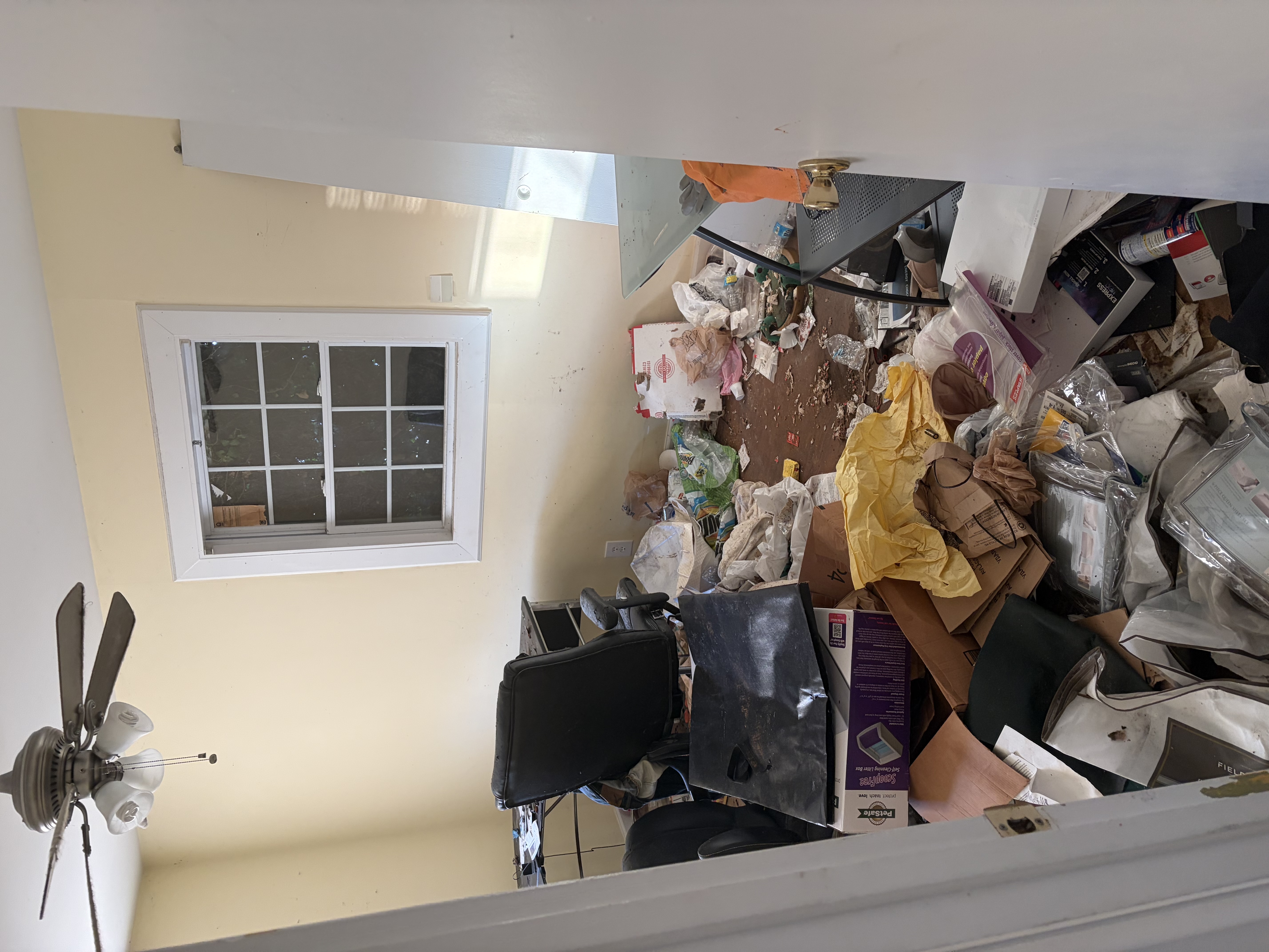 Debris removal Knoxville