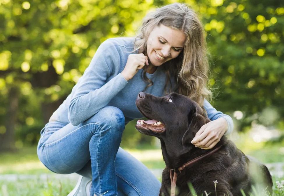 Leads von Tierliebhabern zur Absicherung kaufen