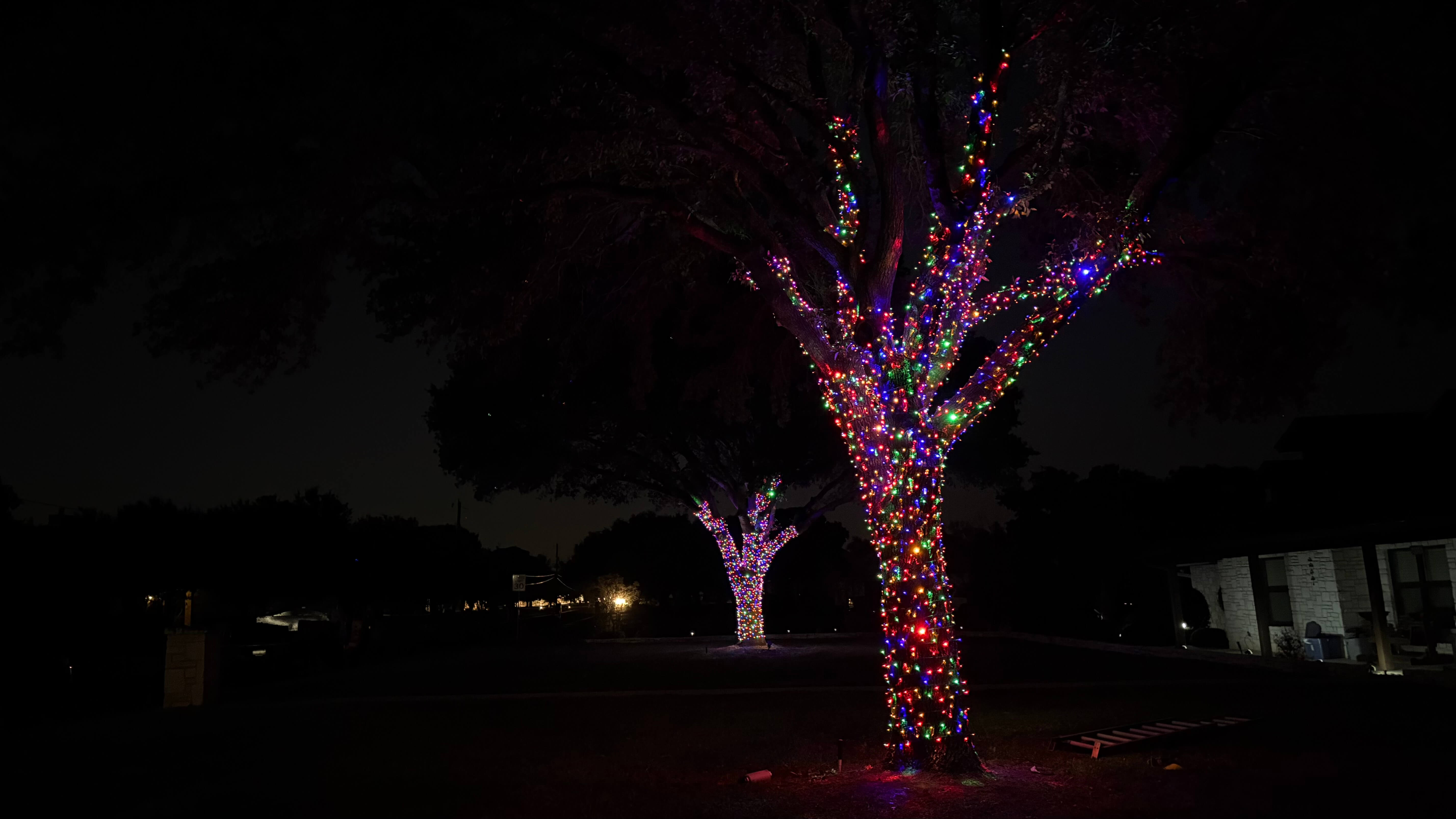 Two trees wrapped in colorful Christmas lights glowing at night in a residential area.
