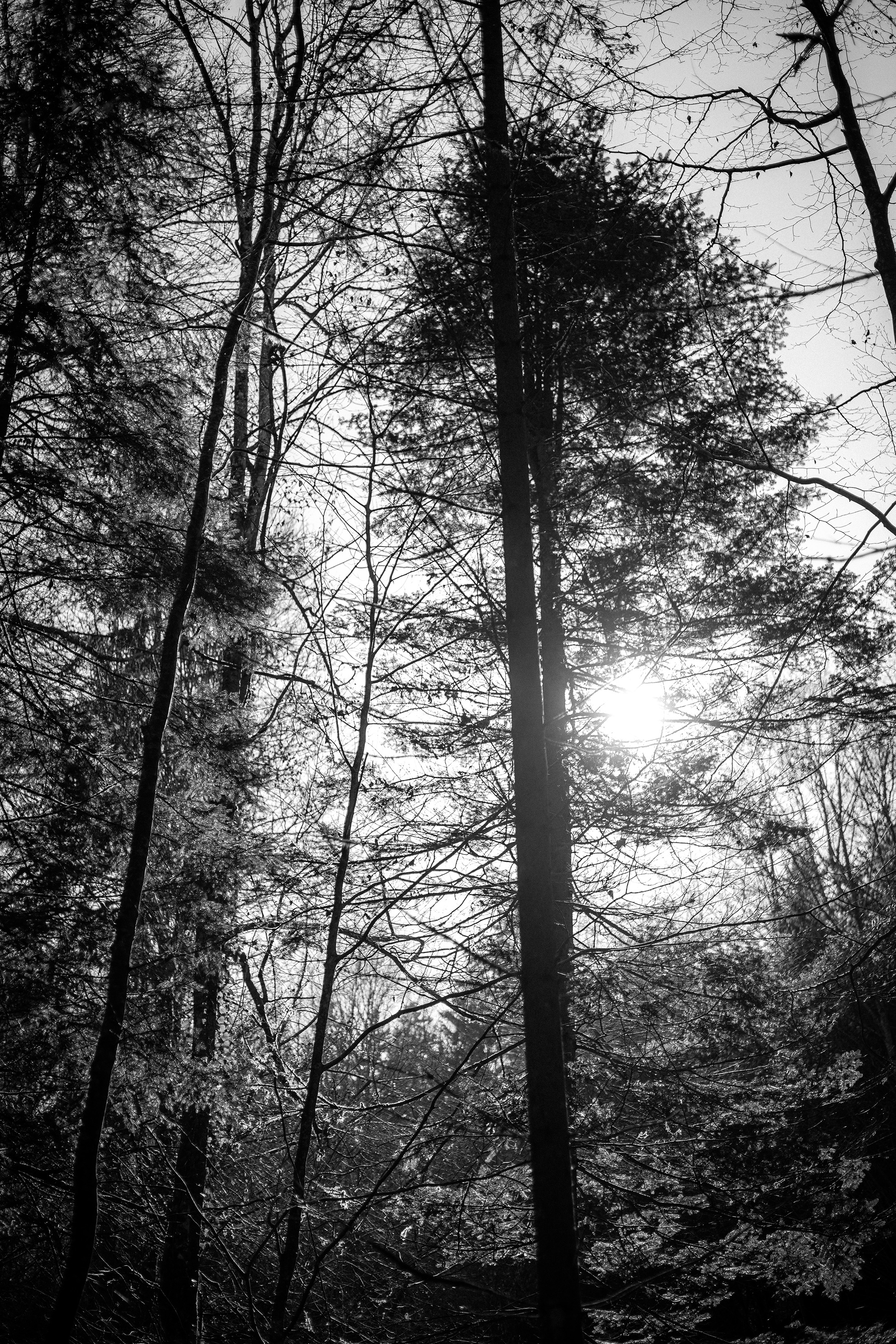 naturpark-thal-ftysvn