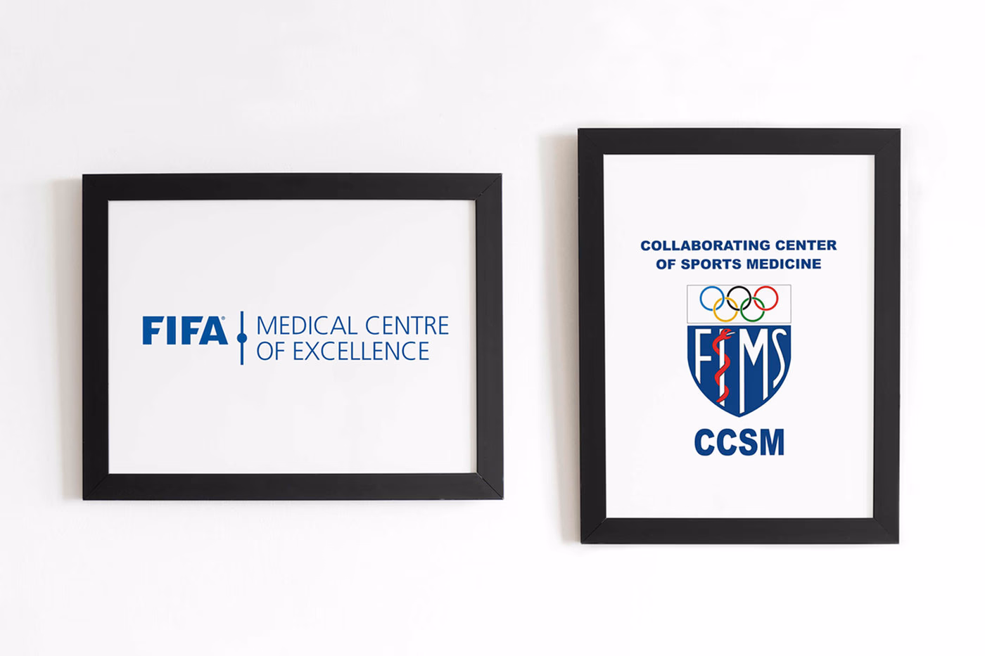FIFA Medical Centre of Excellence certification plaque