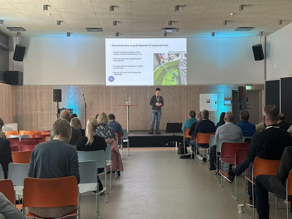 image of office workspace (for a web design agency)