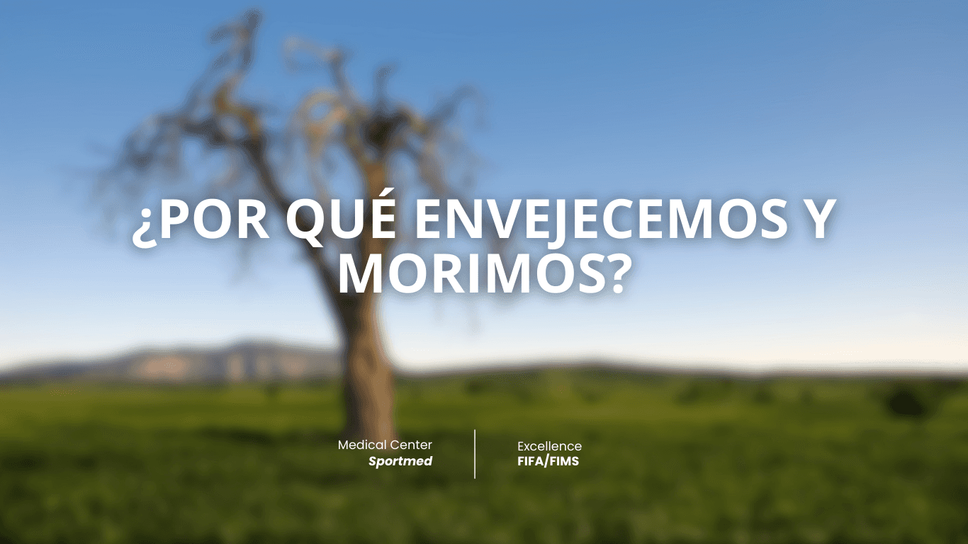 ¿Por qué envejecemos y morimos?