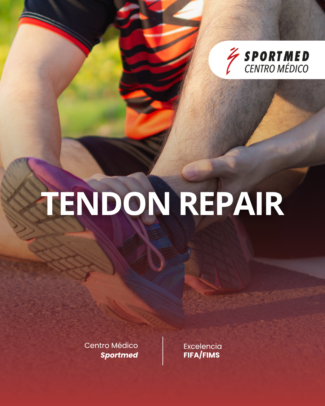 Tendon Repair