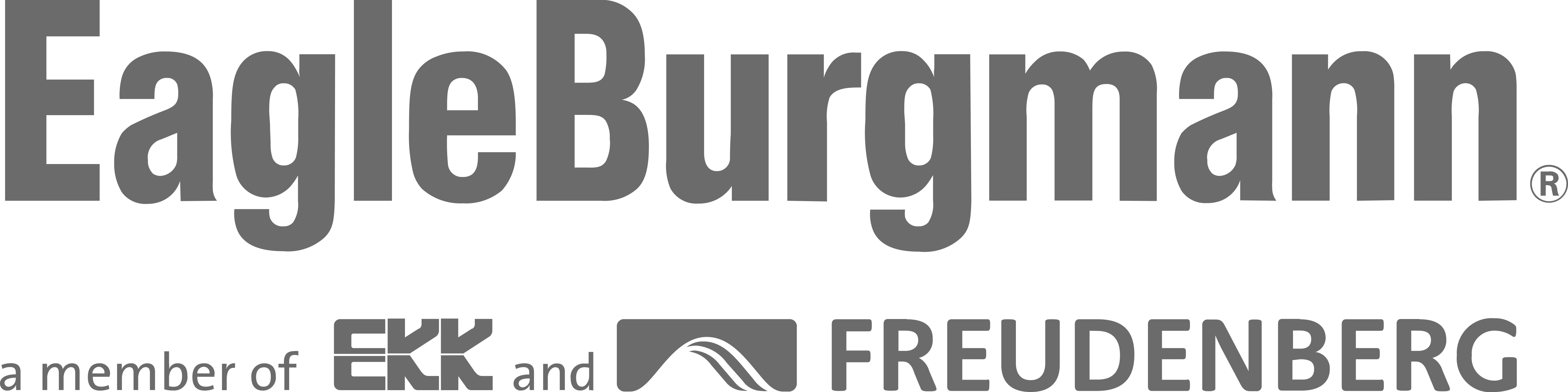 EagleBurgmann Logo
