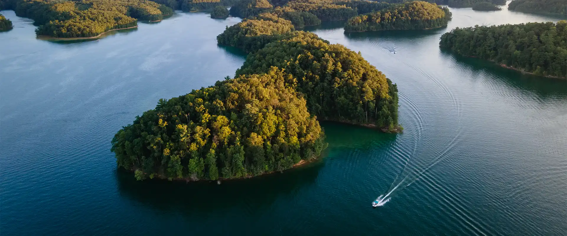 Aerial view of Norris Lake
