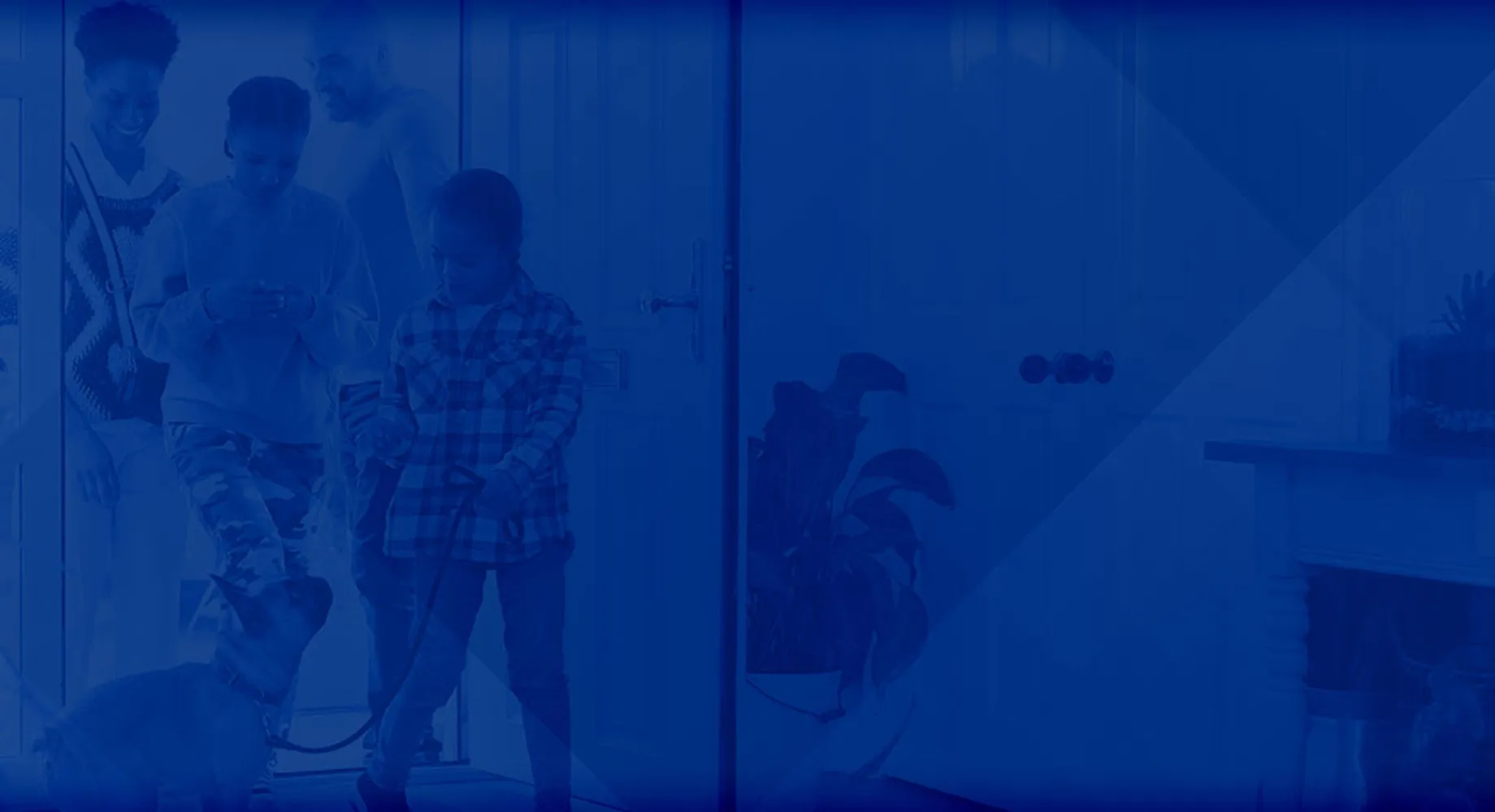 Renomax why choose background