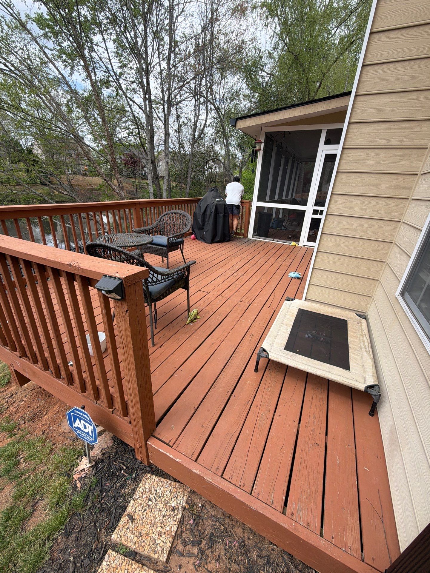 Backyard Before