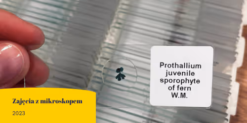Zajęcia z mikroskopem