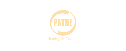 Payne brand logo