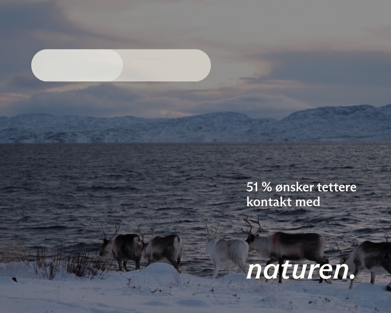 Grafikk som viser at 51% ønsker tettere kontakt med naturen