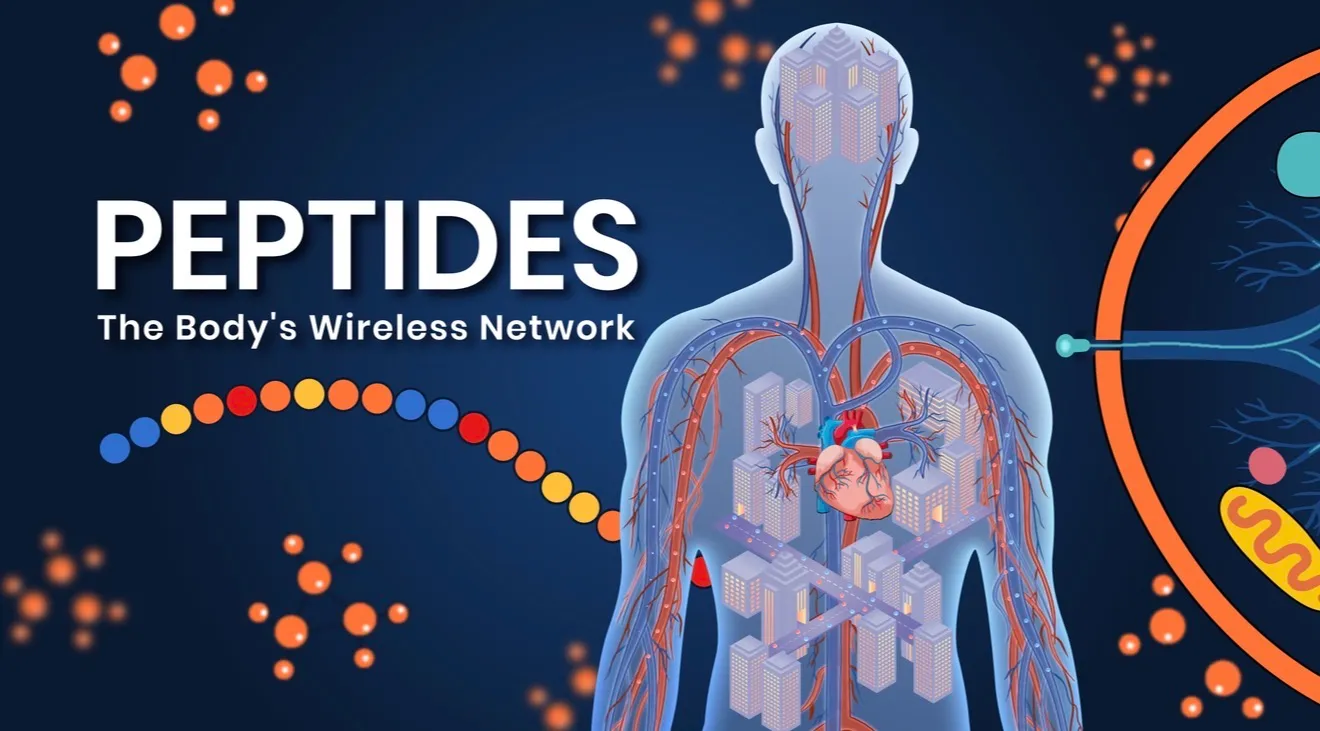 Still from a Qik peptides explainer video showing the body's messenger network