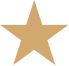 Five-pointed gold star icon on a white background.
