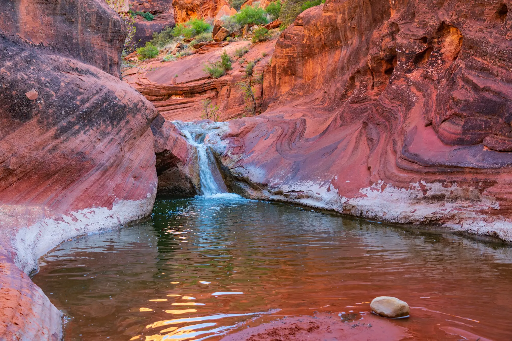 Red Cliffs Desert Reserve in Washington, Utah