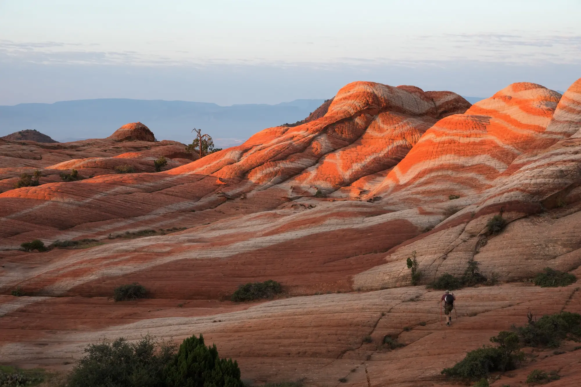 Yant Flat trail near Leeds, Utah