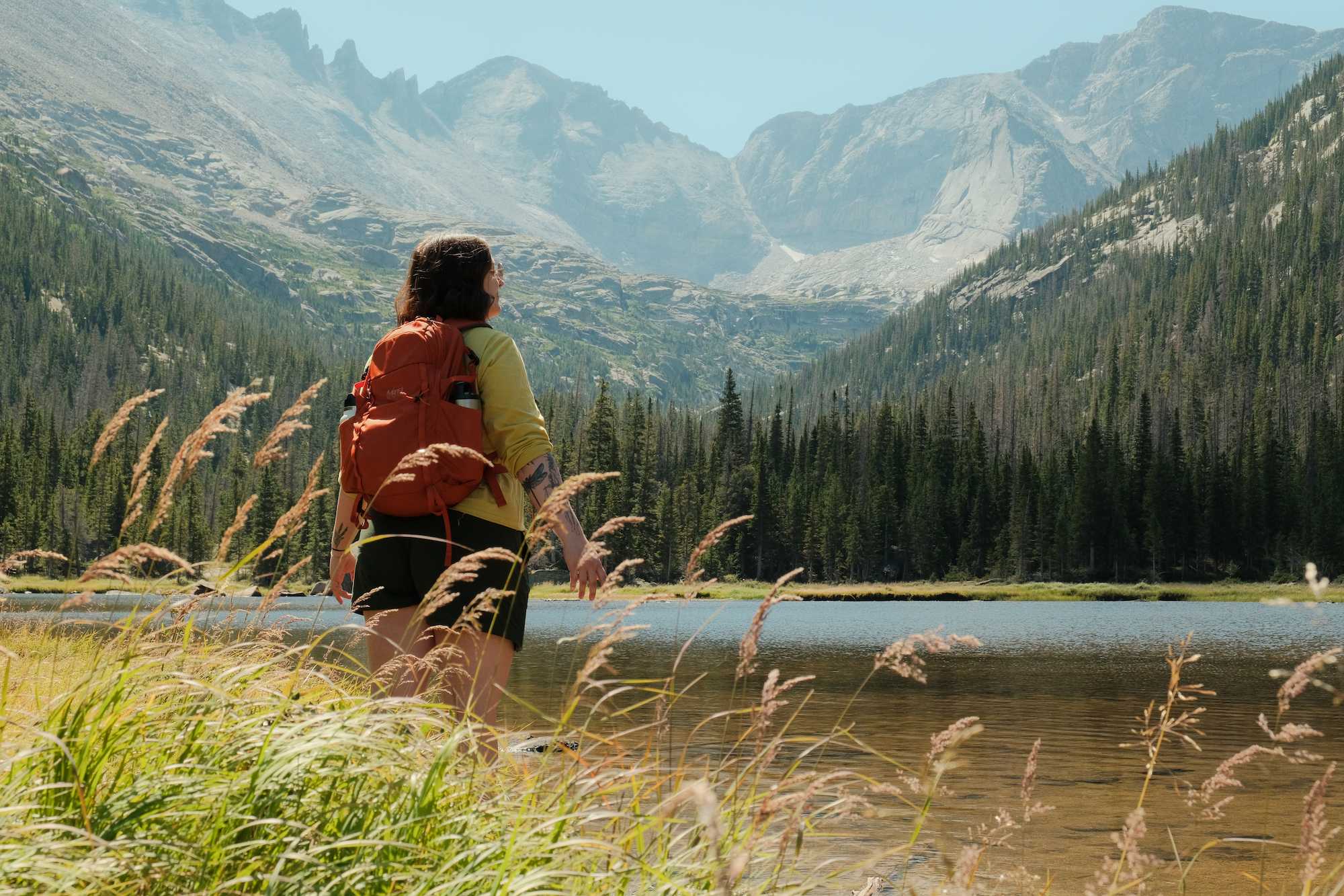 Person with an orange backpack standing by a lake surrounded by tall grass and pine trees, with rocky mountains in the background.