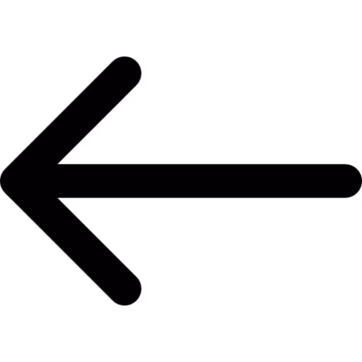  “Black left-pointing arrow icon, typically used for navigation or going back.”
