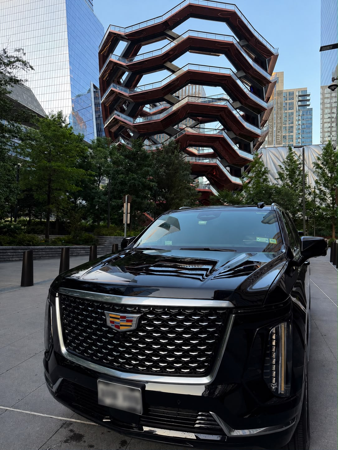 Professional chauffeur transportation experience