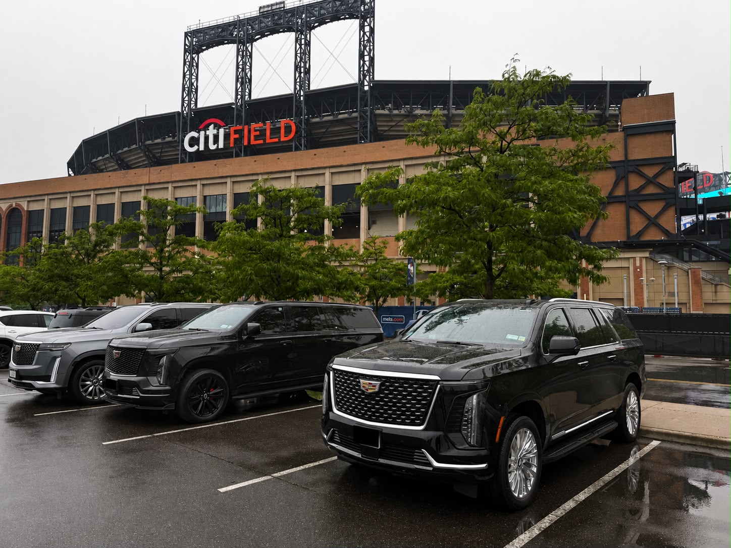 Premium chauffeur vehicle