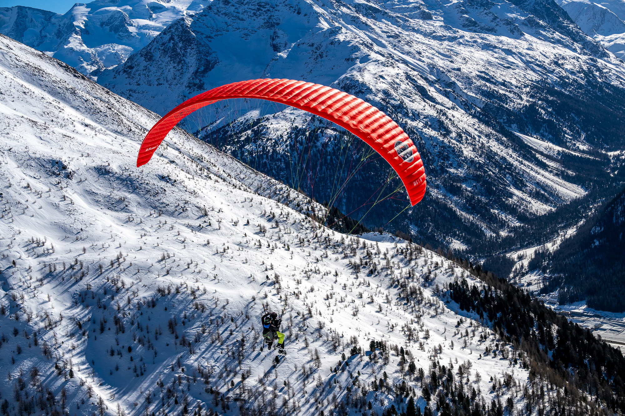 image of trending sneaker models (for a footwear store)