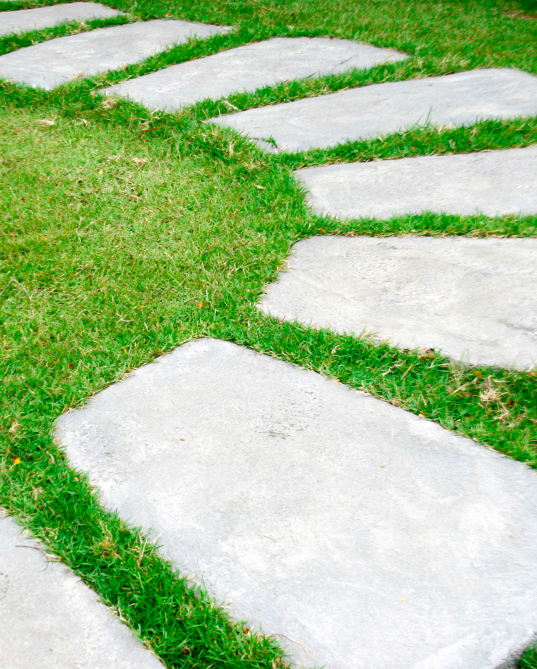Curved garden pathway made of large rectangular stepping stones with green grass growing between them.