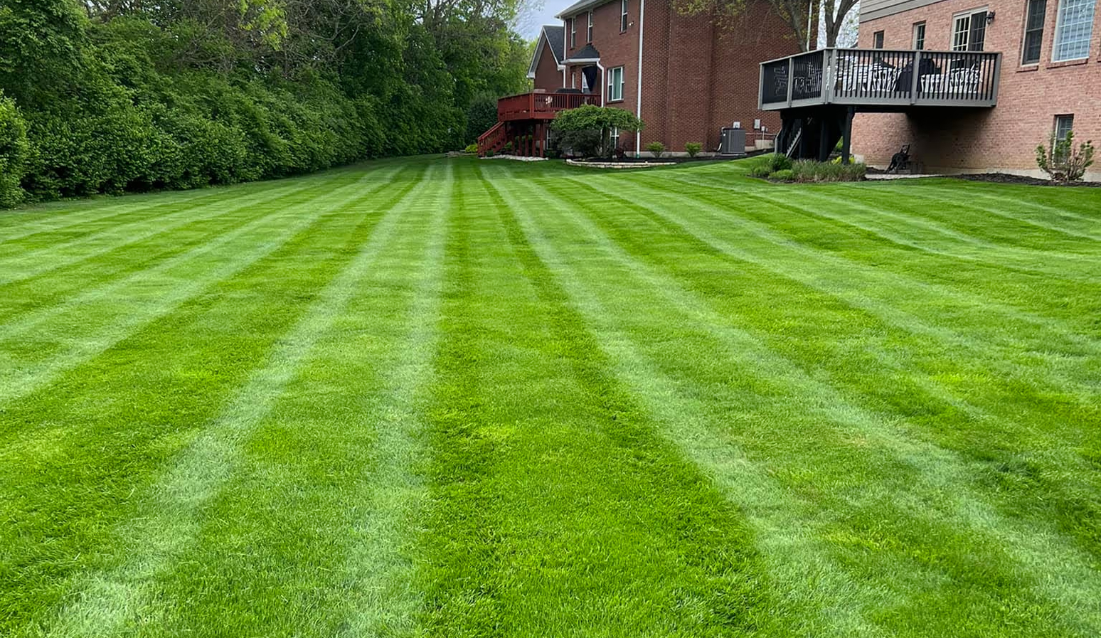 Lawn Care & Maintenance
