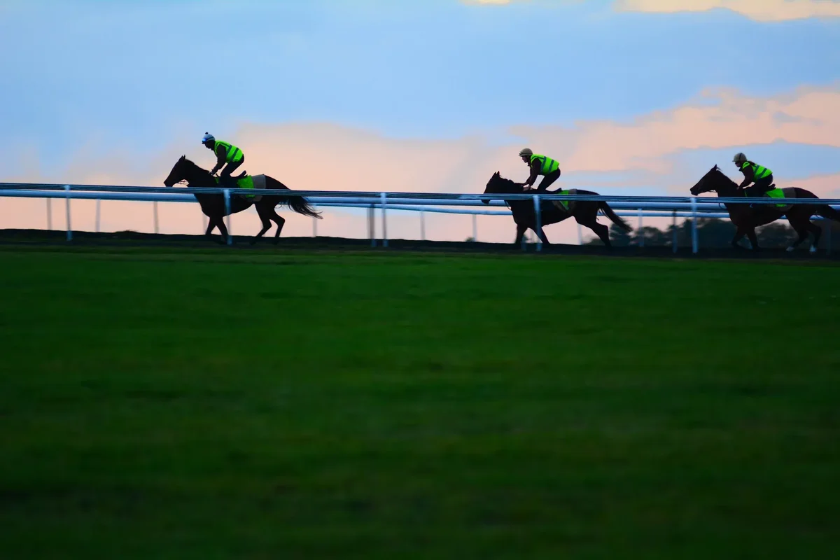 NSW Trainers Association Insurance Program Banner