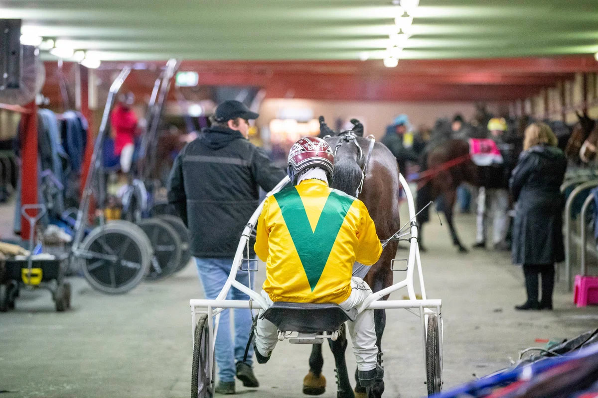 Harness Racing Victoria Insurance Program Banner