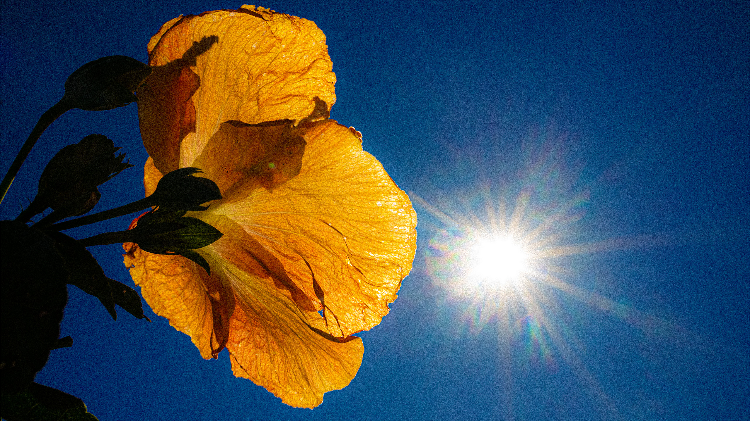 JOURNALISME ROMANTIQUE