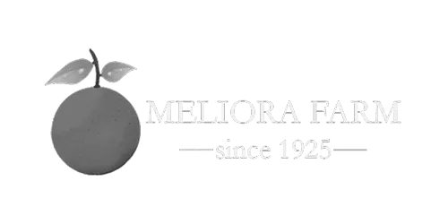 Meliora Farm logo, citrus fruit with leaves, text "since 1925", Australian farm.