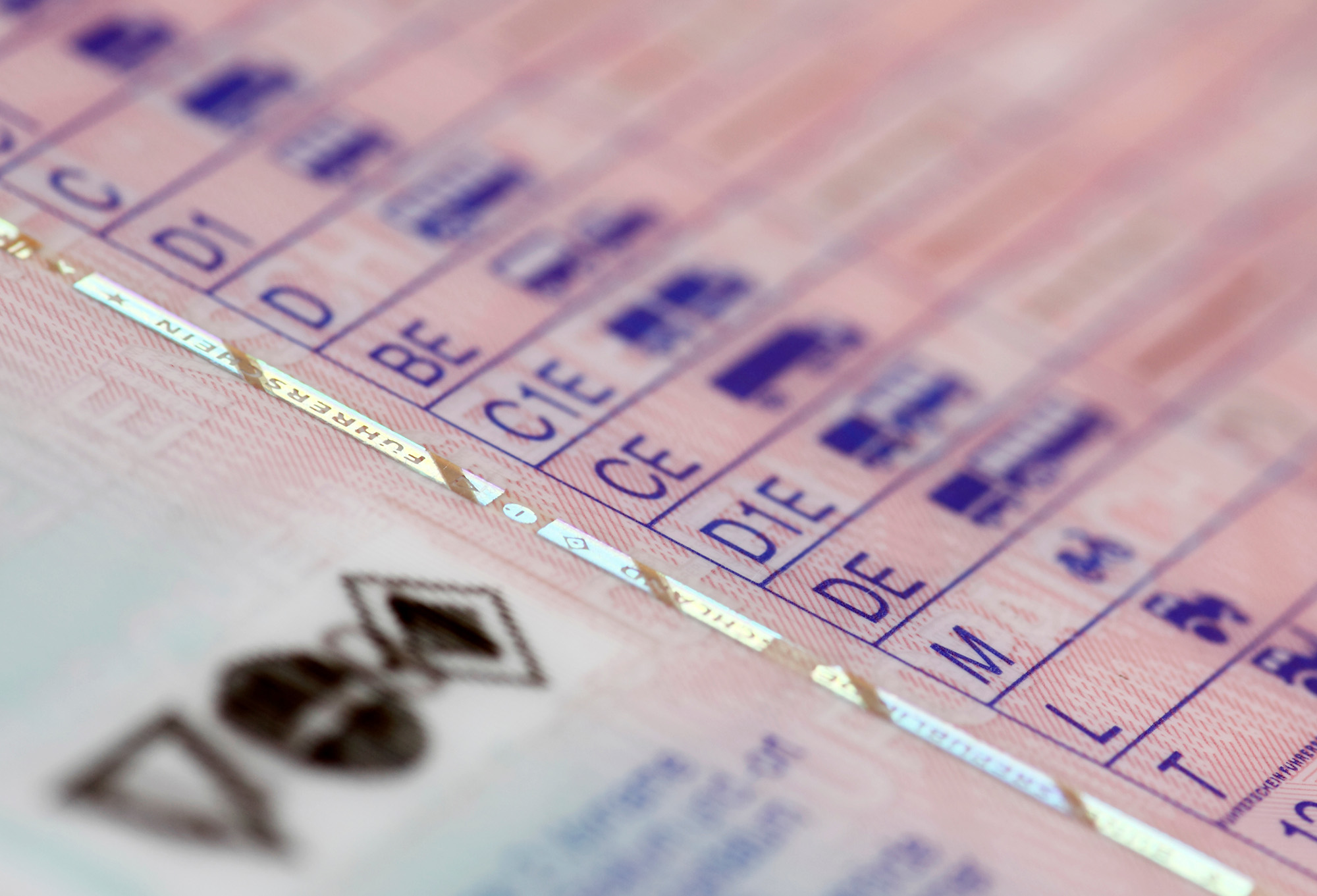 Close-up of a European-style driver's license showing various vehicle categories and classes in blue text on a pink background.