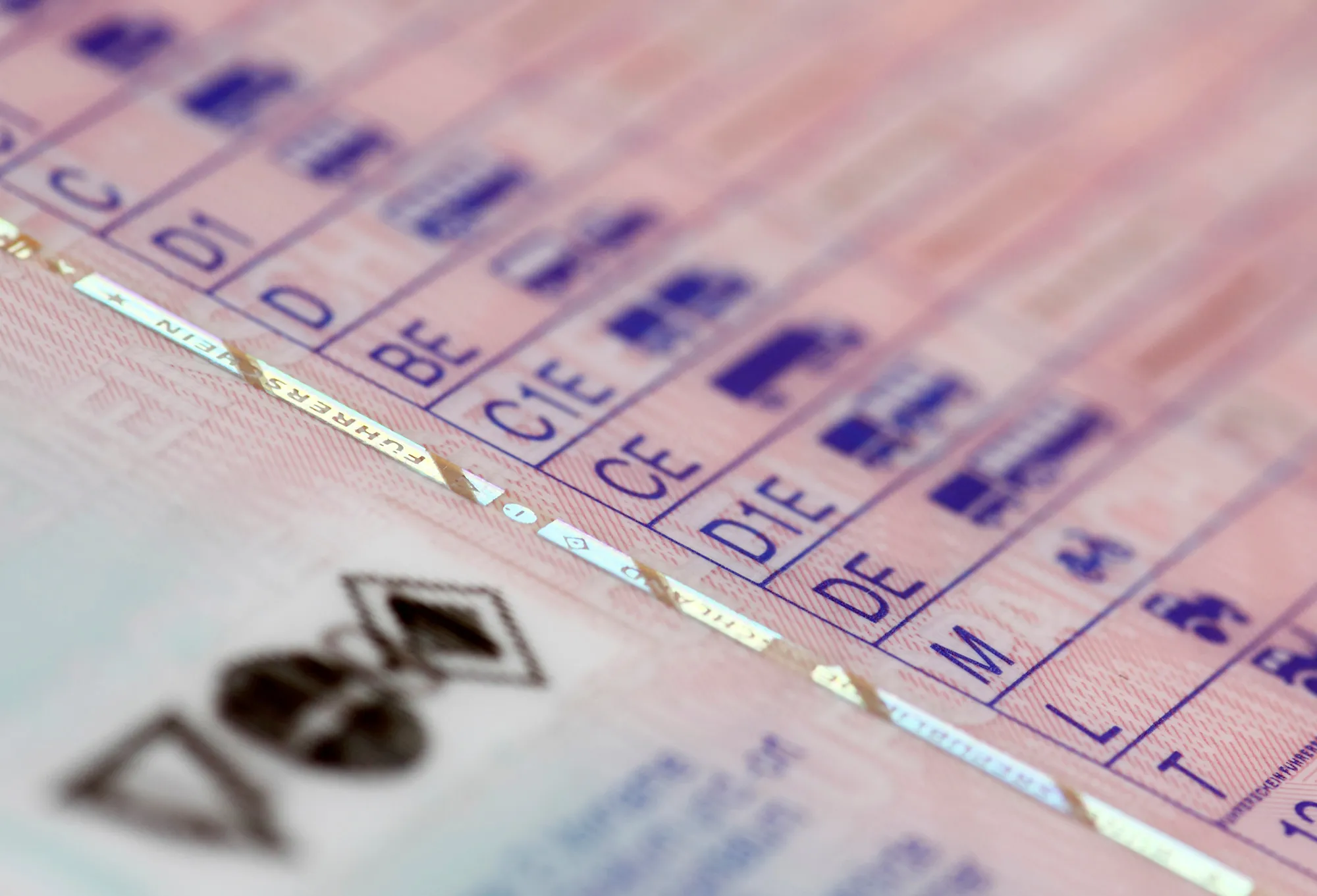 Close-up of a European-style driver's license showing various vehicle categories and classes in blue text on a pink background.