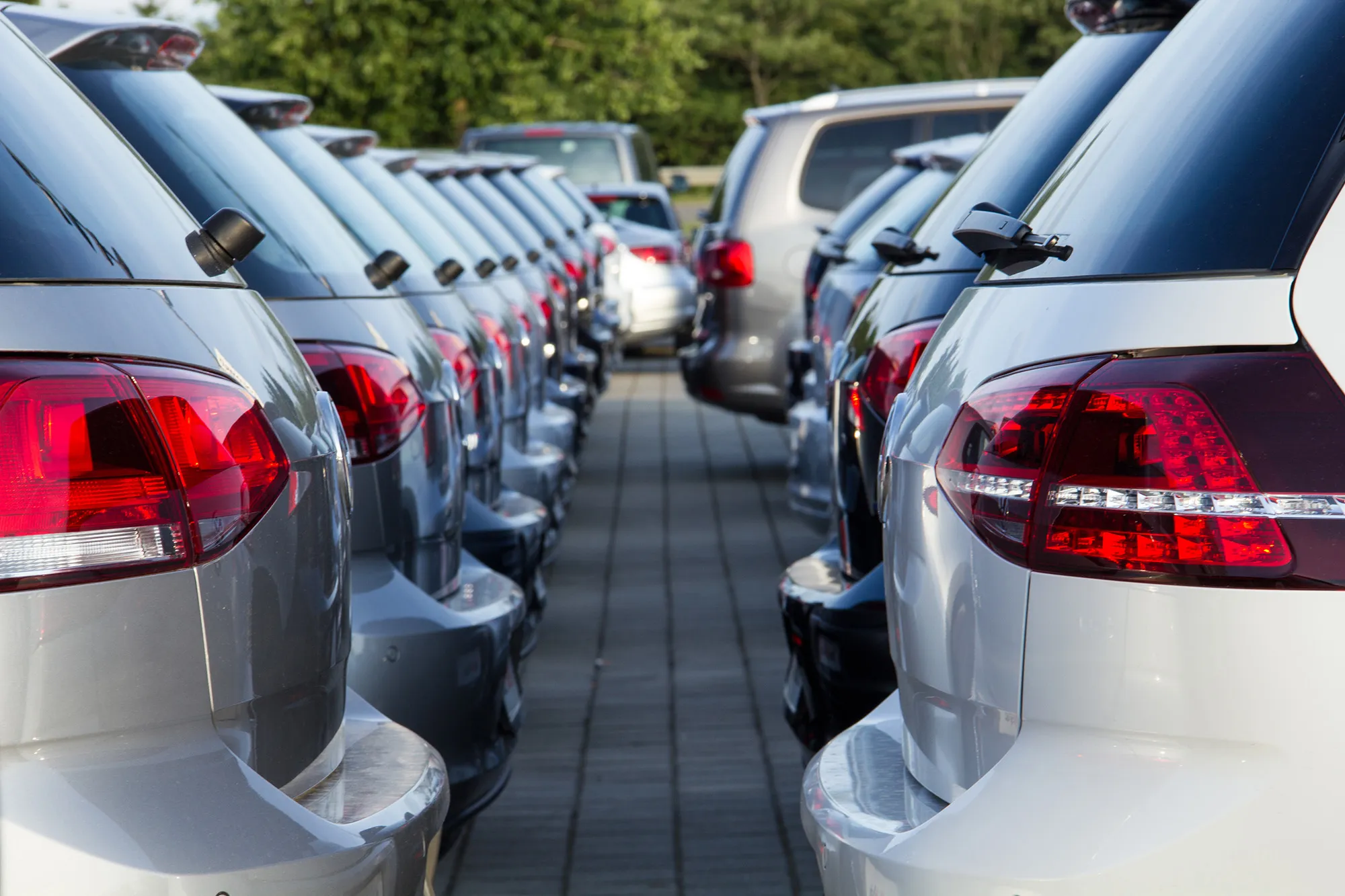 Two rows of parked silver and gray cars facing away on a paved lot with trees in the background.