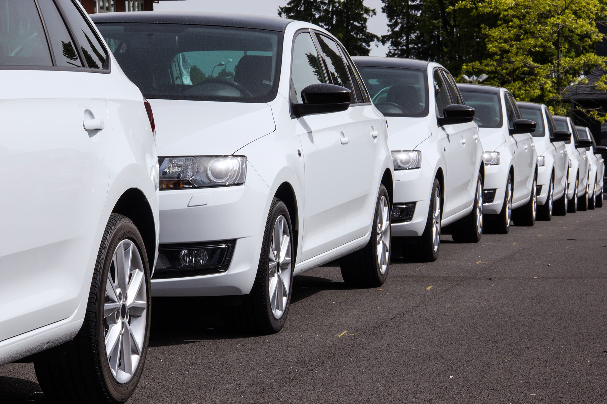 Row of identical white cars parked on a street with trees in the background.