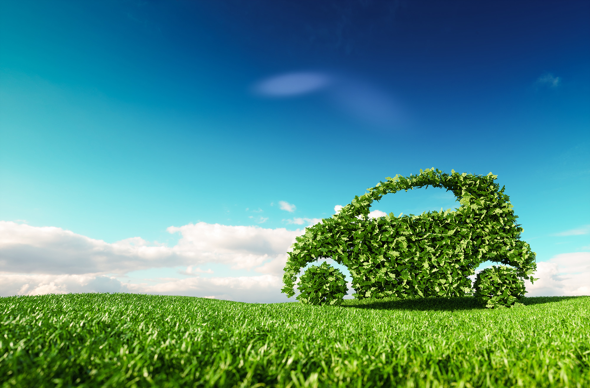 Green car shape made of leafy plants on a grassy field under a clear blue sky.