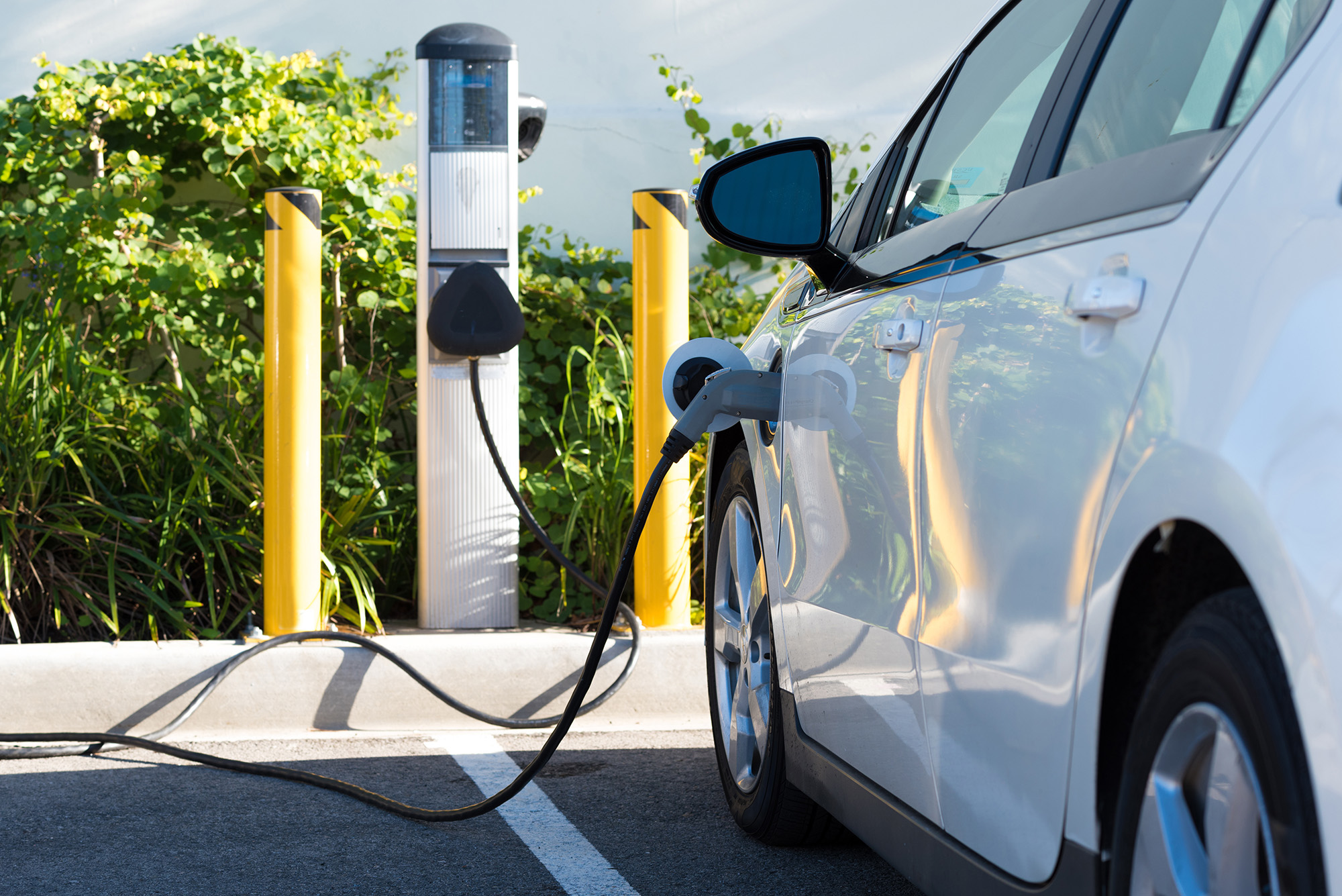 Electric car plugged into a charging station in a parking lot with yellow bollards and greenery in the background.